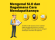 mengenal slo
